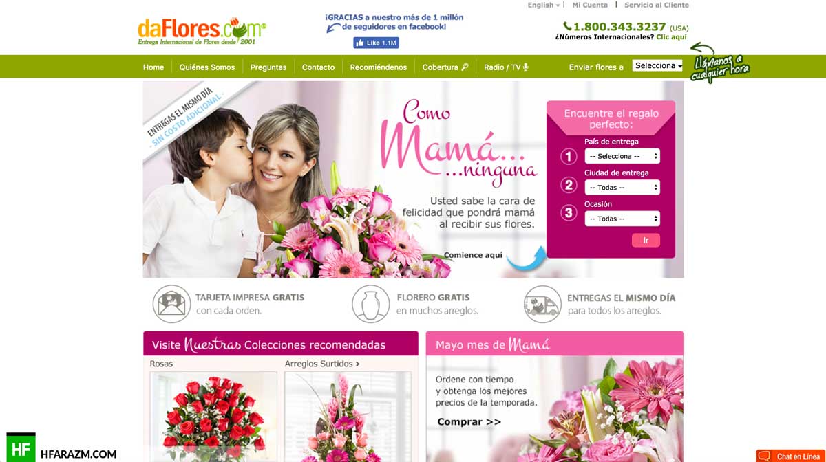 da-flores-home-page-web-optimization-website-review-portfolio-hfarazm