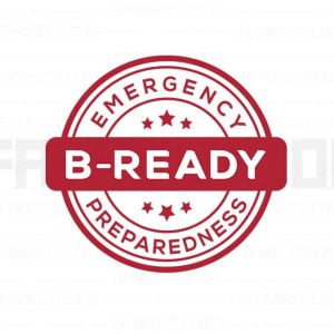 final-b-ready-logo-design-portfolio-Hafrazm